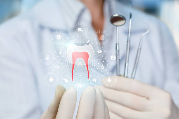 Trusted Loretto, TN Holistic Dental Care Services Experts